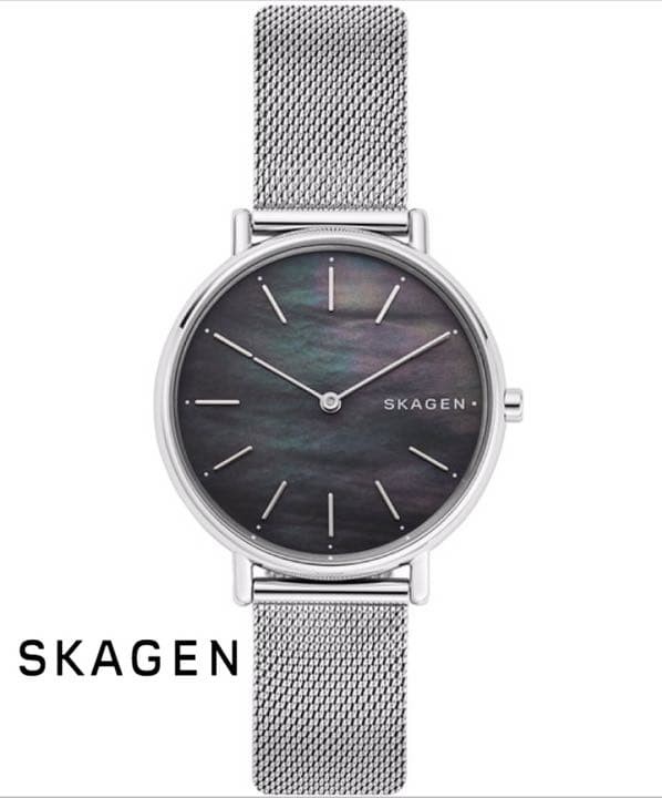 Rare SKAGEN SIGNATUR SKW2730 Watch SKAGEN