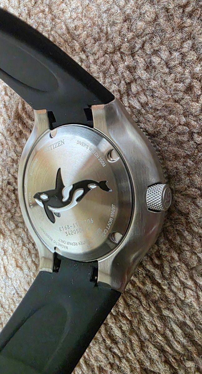 Citizen Promaster E168-S128706 Solar-Powered