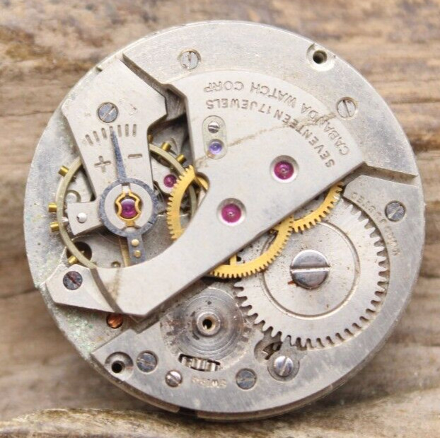 CABANDA NANCO INCABLOC SWISS WATCH MOVEMENT 17j 25.6mm (LF2)