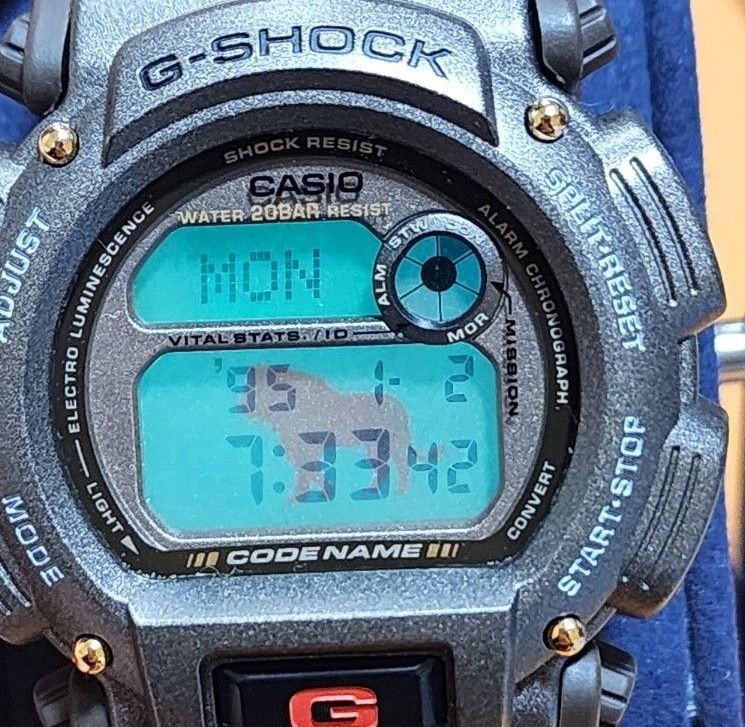 G SHOCK DW 8800 Masai Masala code name