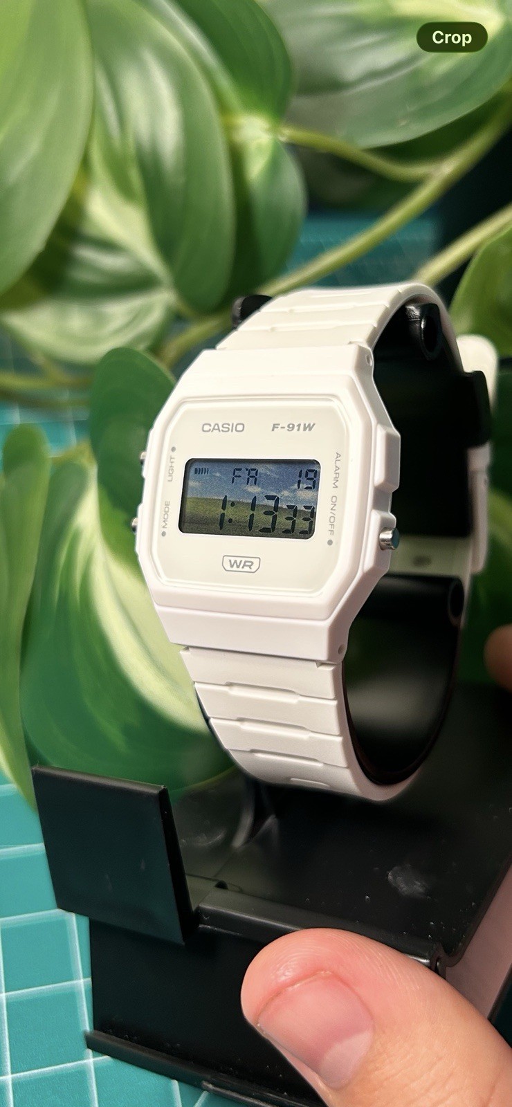 Custom Casio F91W Windows XP Mod