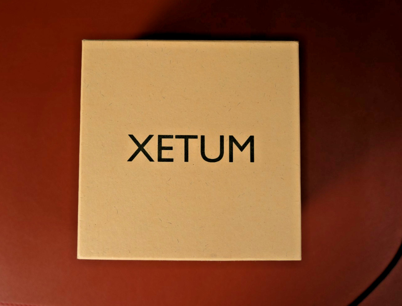 Xetum Stinson Swiss Men’s Watch Bracelet Rare (Automatic)