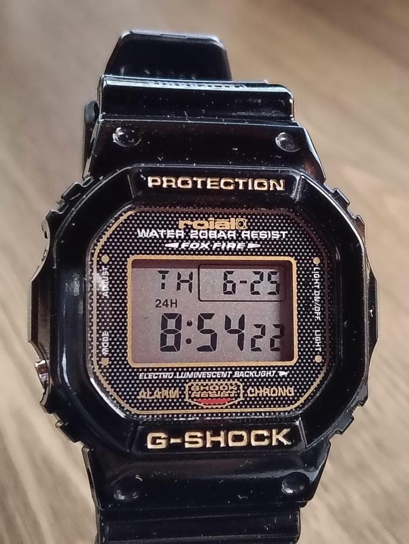 CASIO G-SHOCK DW-5600VT From Japan