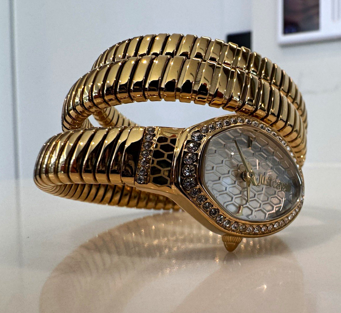 Just Cavalli Women’s Coil Bracelet Watch Silver Dial Fixed Bezel NEVER WORN