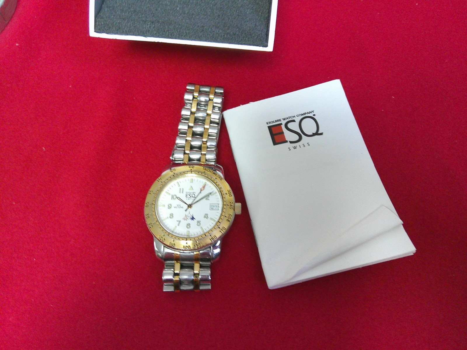 ESQ TWO TONE MENS WATCH