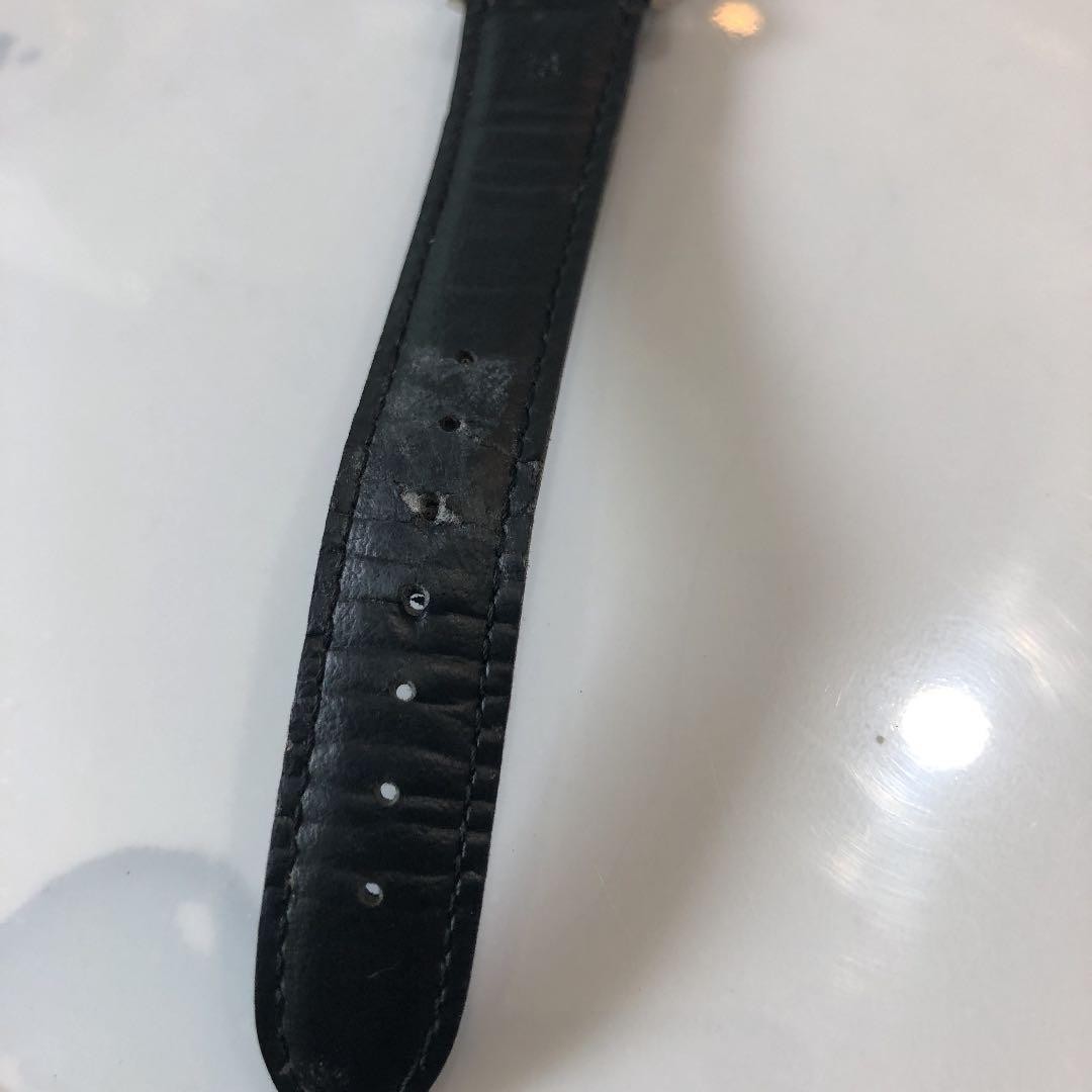 [Citizen] Leopard Solar Tech E031-S027047 Men’s Watch