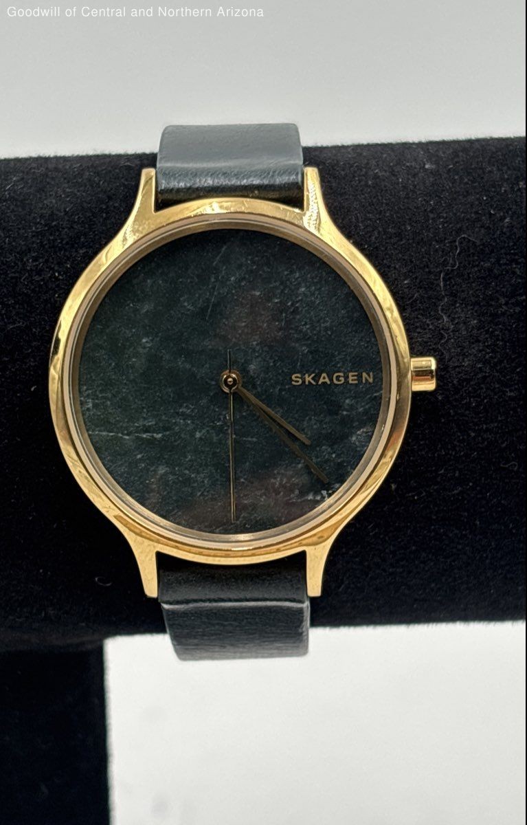 Skagen SKW2720 Anita Green Dial/Leather Ladies Watch