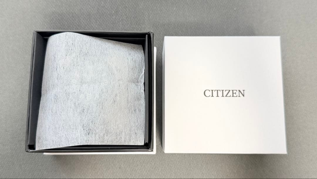 Citizen Promaster Land JV1007-07E Eco-Drive Watch