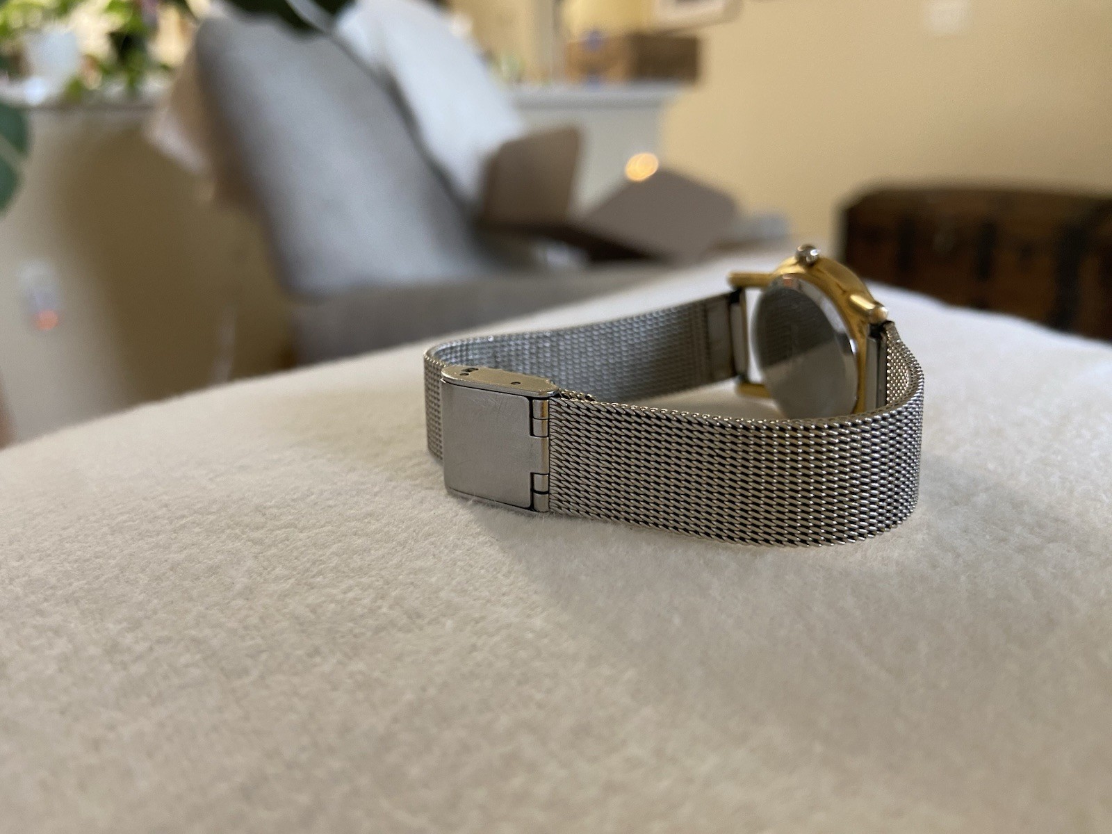 Skagen Denmark Women’s Stainless Steel