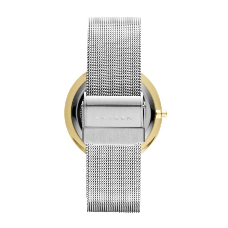 Skagen Watch Ladies Quartz Date Leonora SKW2002 Mineral Crystal Mesh Band