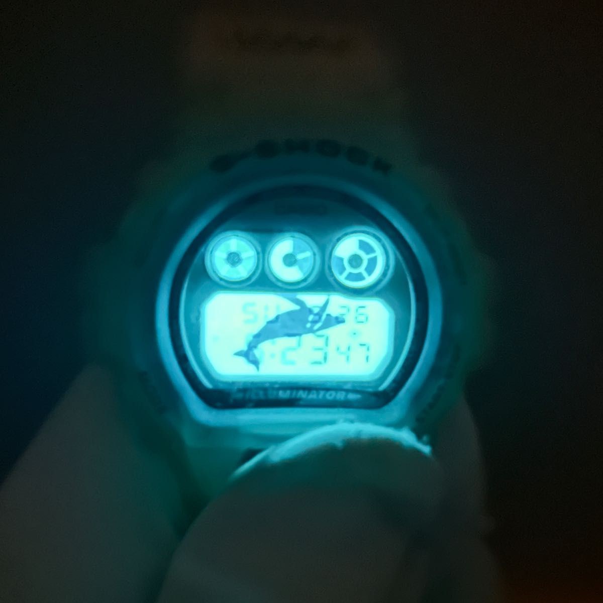 Casio G SHOCK DW 6900K 8AT Skeleton Dolphin Whale Model