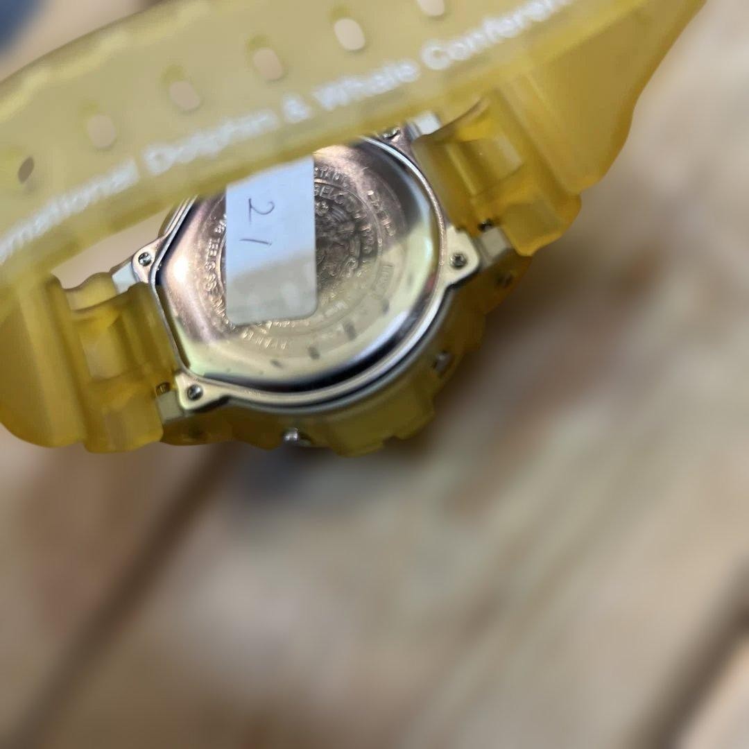 CASIO G-SHOCK DW-6900 Irukuji
