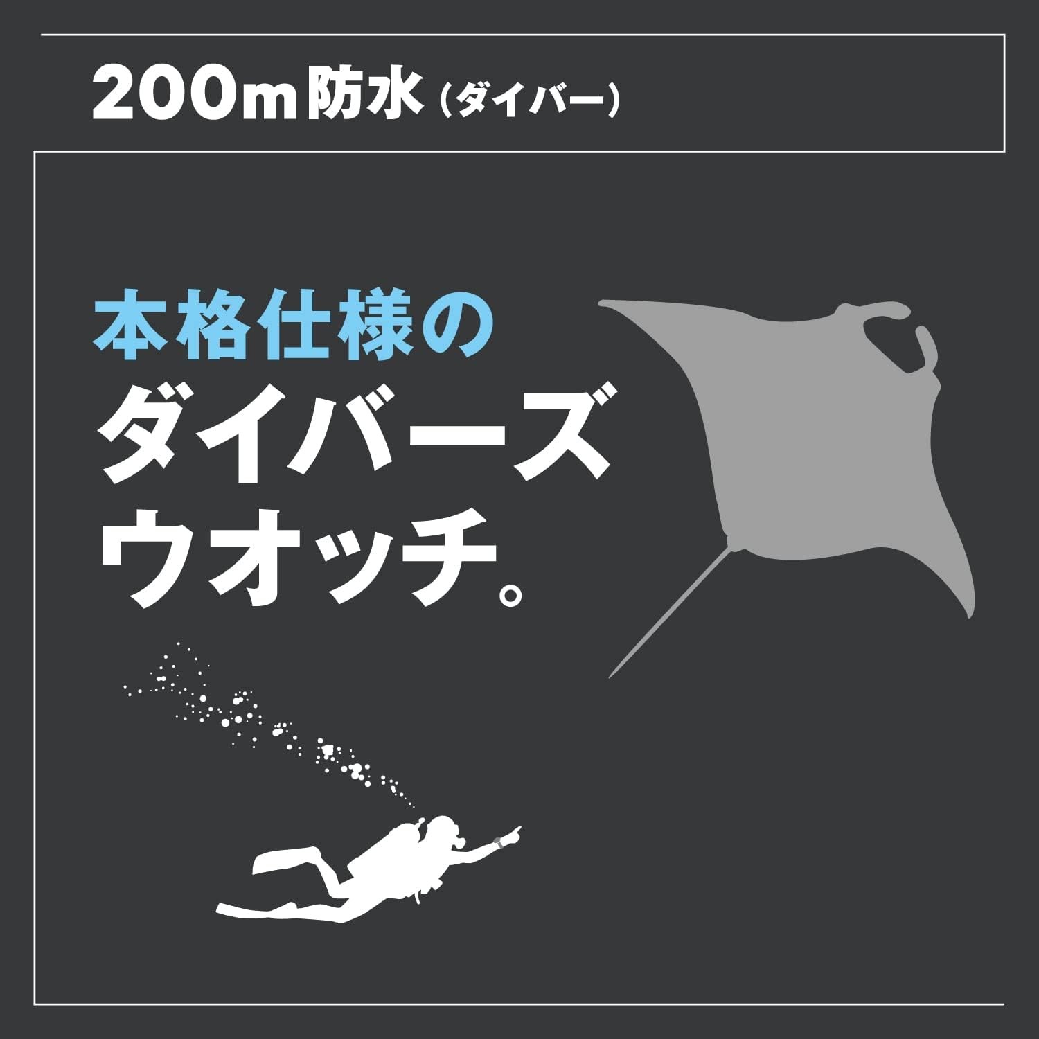[Citizen] Watch Promaster Orca Photovoltaic Eco-Drive 200m Diving Waterproo