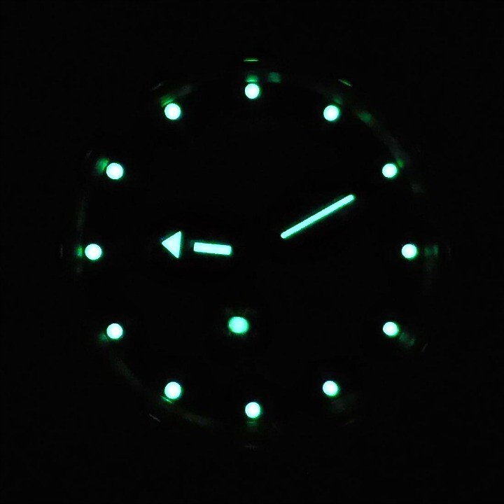 Vostok Amphibia 110650 Watch Military Diver Mechanical Automatic US SELLER