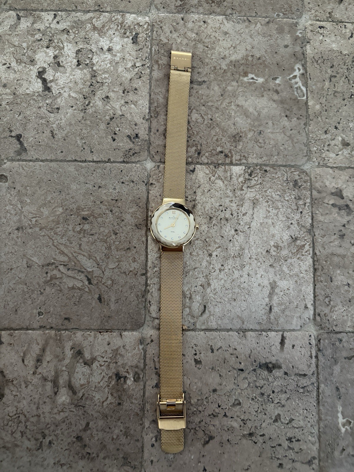 Skagen Denmark Quartz Watch Water Resistant 22 Cm 922SGG Read Description