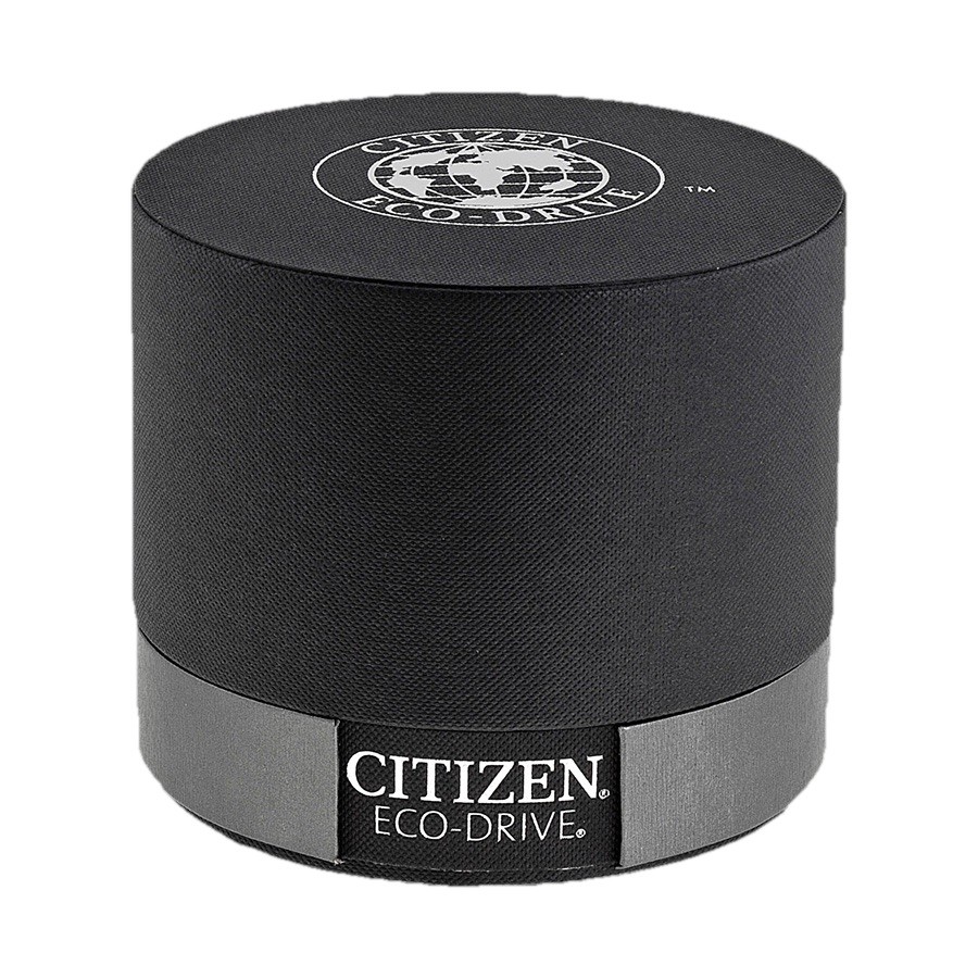 CITIZEN Strap Eco-Drive 180 Day-Date Men’s Watch
