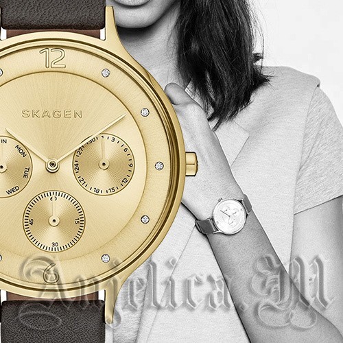 NWT SKAGEN Anita Black Leather Gold-Tone Dial Watch SKW2393