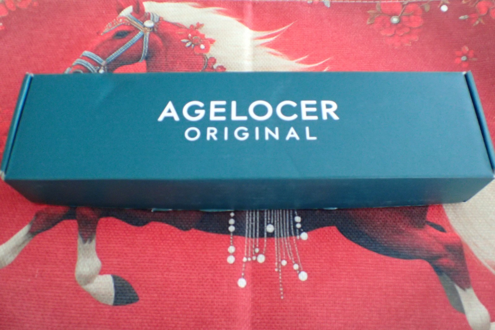 Agelocer World Time Genuine Watch Men’s Luxury Automatic Mechanical Watch