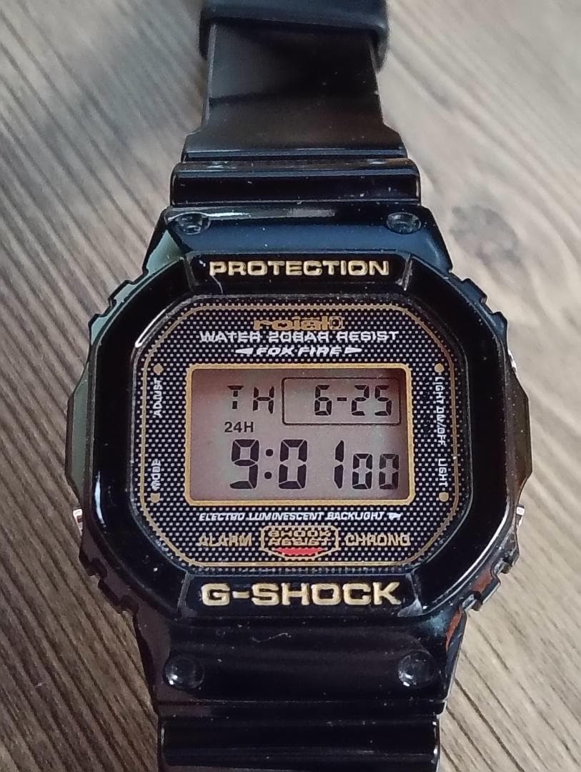 CASIO G-SHOCK DW-5600VT From Japan