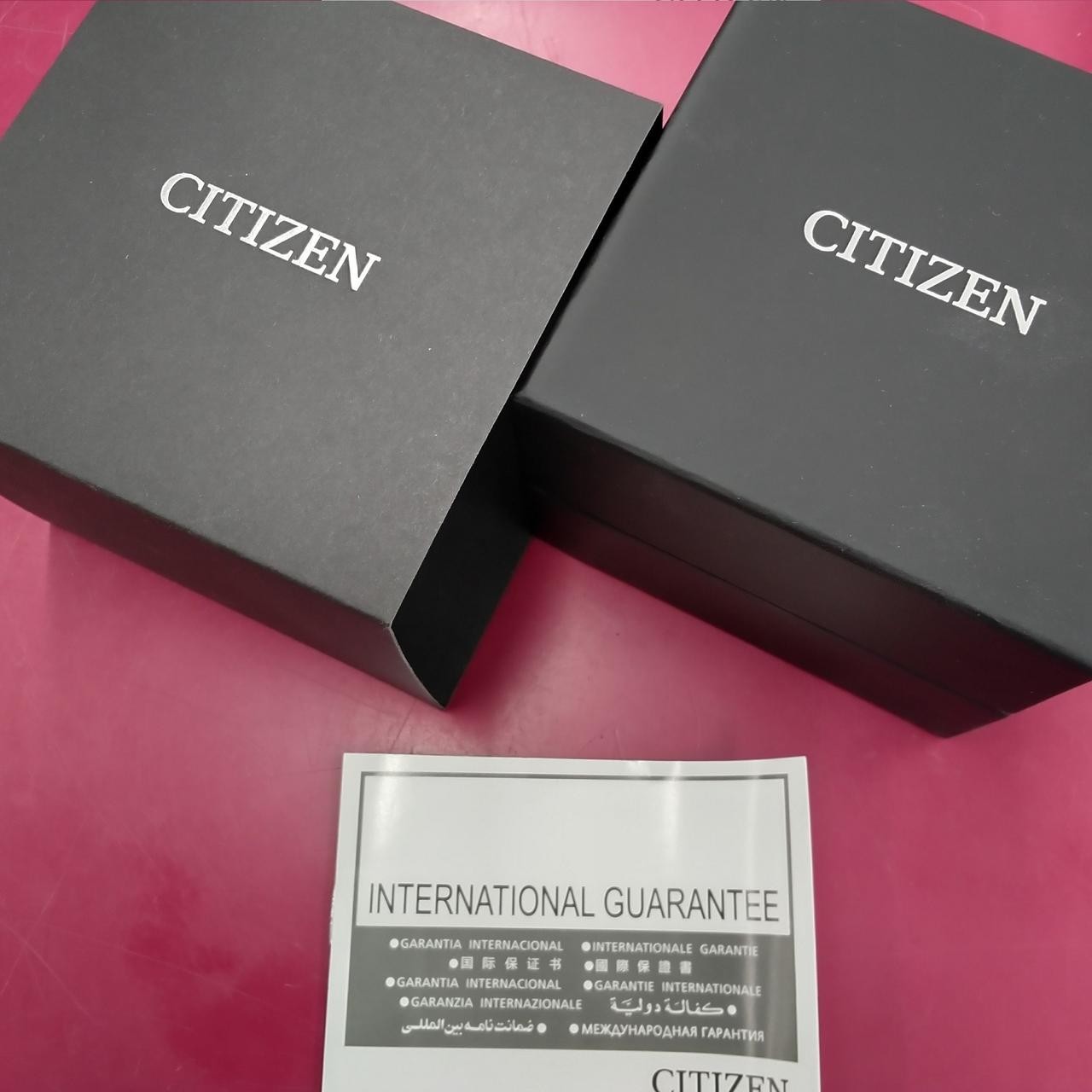 Citizen NJ0140-25L Automatic Watch 10BAR