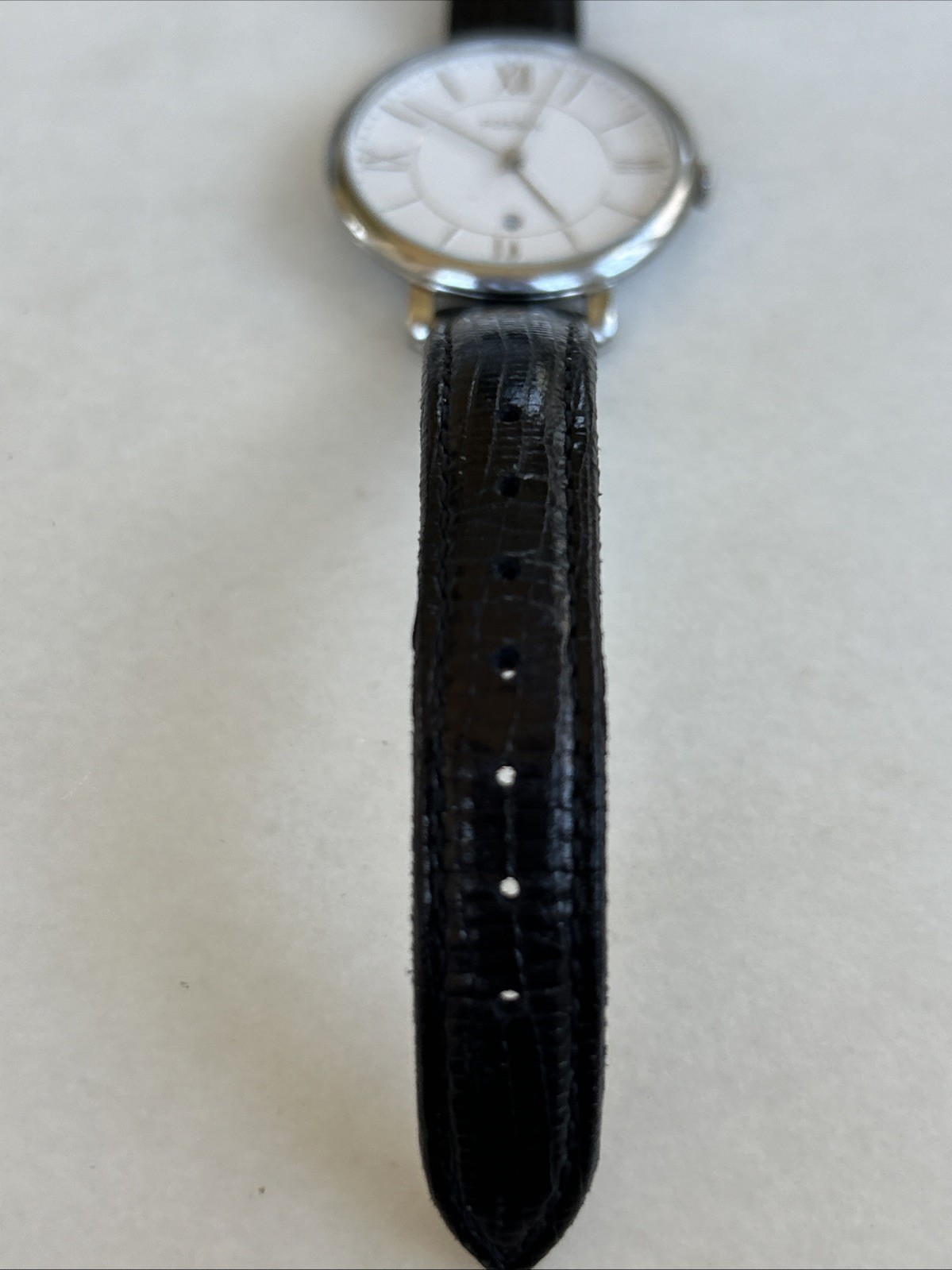 Fossil ES3793 Watch